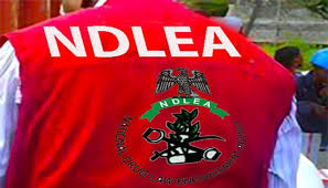 Residents Panic as NDLEA Officers Fire Shots While Chasing Truck Driver in Benin