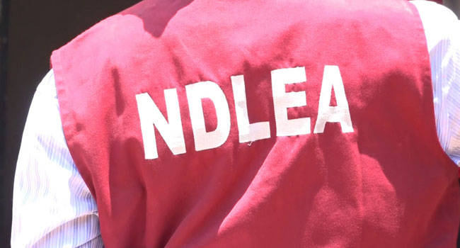 Teenager Killed as NDLEA Operatives, Drug Barons Clash in Edo