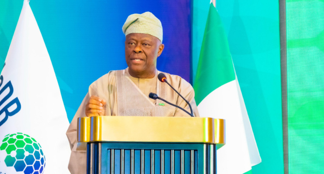 Nigeria’s Economy In Shock – Edun